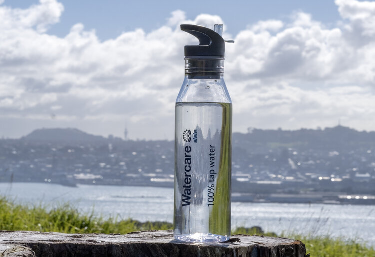 Image of a water bottle sitting on rock with Auckland city in the background